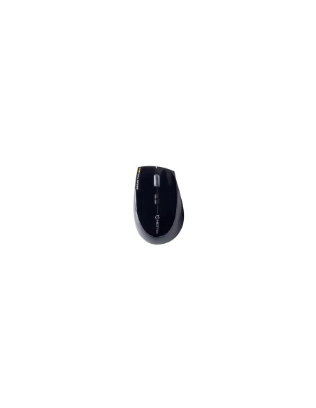 Hiditec Dendro ratón Oficina mano derecha RF inalámbrico Óptico 2000