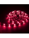 LUCES LED 3M AURORA