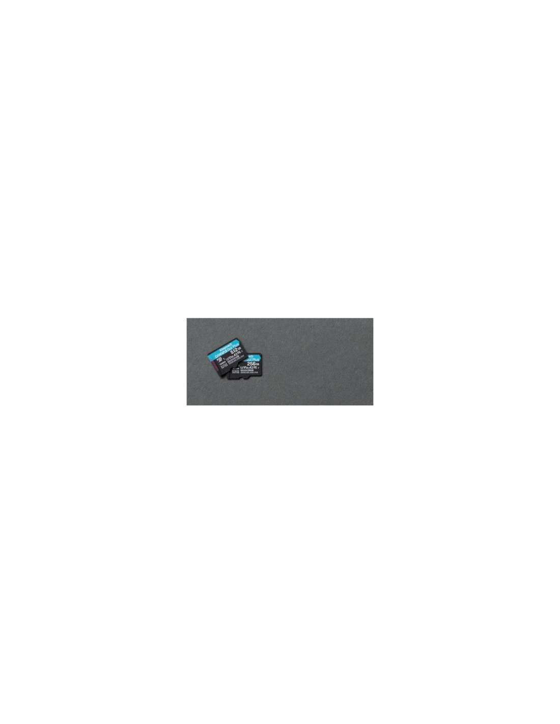 MEMORIA MICROSDXC KINGSTON CANVAS GO PLUS 512GB + ADAPTADOR NEGRO SDCG3/512GB