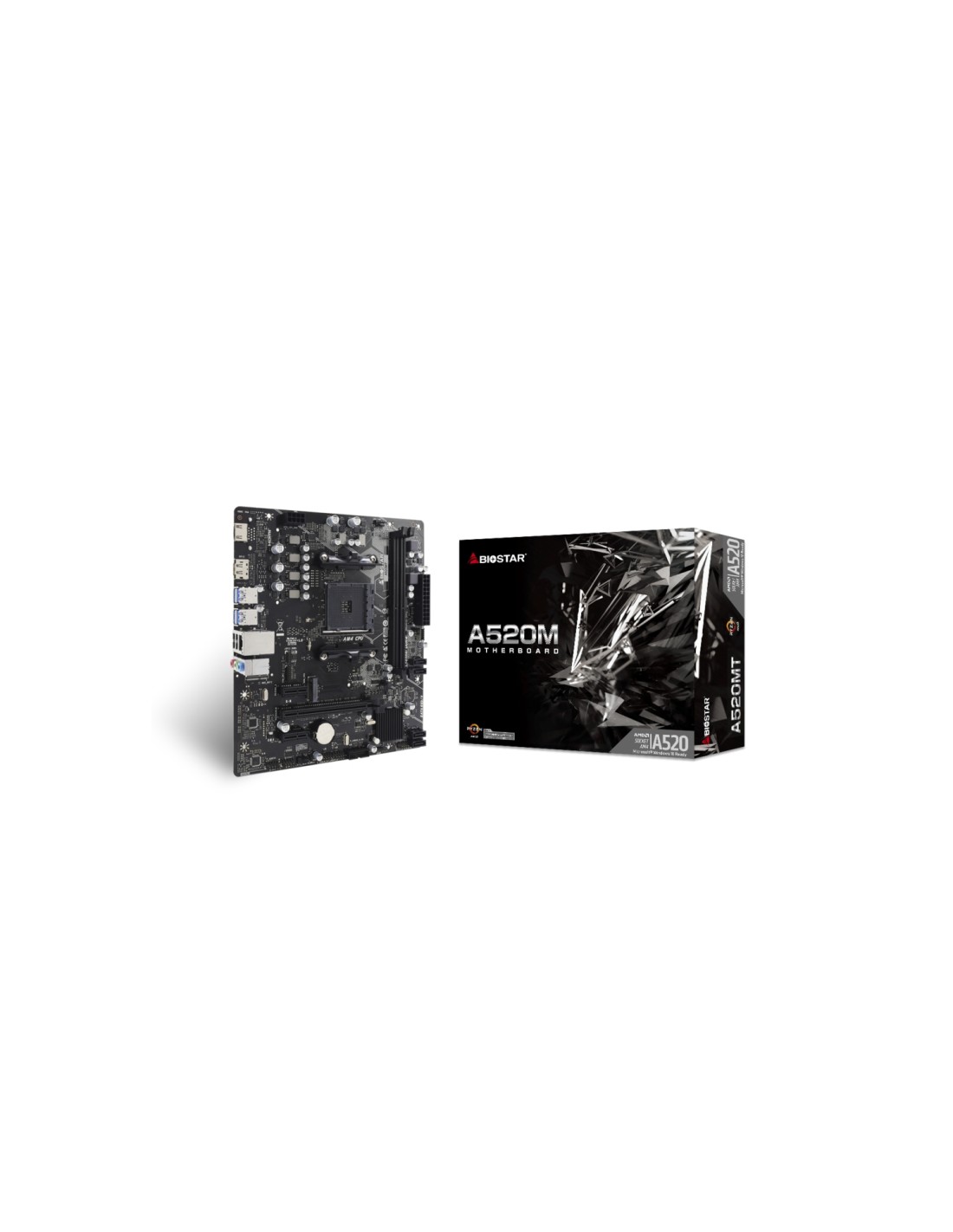 Biostar A520MT Placa base