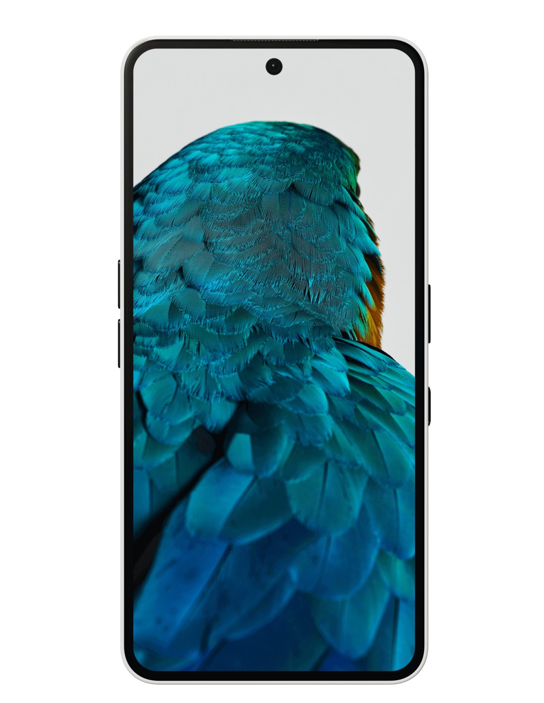 Nothing Phone (3a) 17,2 cm (6.77") SIM doble Android 15 5G USB Tipo C 8 GB 128 GB 5000 mAh Negro