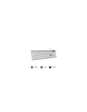 SUBBLIM Teclado Ergonómico con cable USB Plano Silencioso Plateado/Blanco Ergo