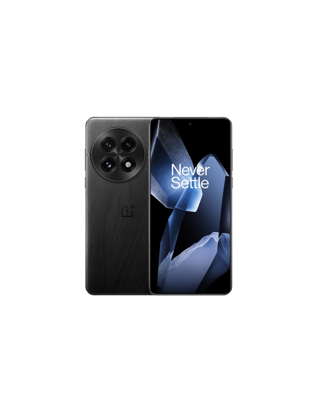 OnePlus 13 5G 12GB/256GB Negro Smartphone