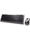 Welly Enjoy IT WY30002 Teclado y raton inalambrico Español