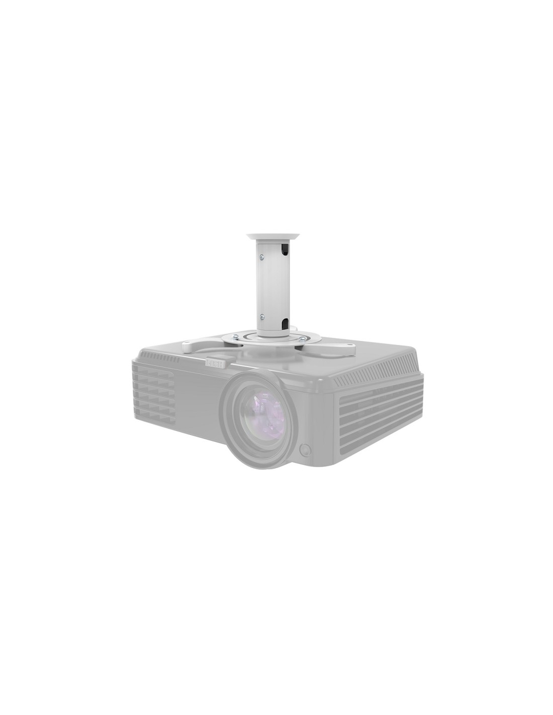 NEWSTAR Soporte de techo Beamer