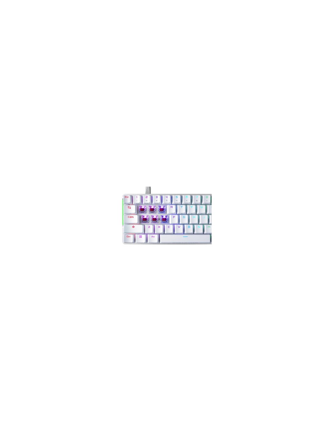 ASUS ROG Falchion Ace teclado USB QWERTY Inglés Blanco