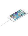 APPLE CHARGER 1M CABLE LIGHTNING TO USB MXLY2ZM/A