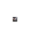 DESTRUCTORA FELLOWERS 60CS NEGRO 4606101
