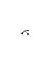 StarTech.com Cable Adaptador Bifurcador Divisor Splitter de Alimentación SATA de 0,15m - 2x Hembra