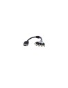 StarTech.com Cable de 30 cm Coaxial para Monitor HD15 VGA a 5 BNC RGBHV - Macho a Hembra - negro