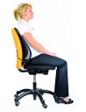 Fellowes CojÍ­n Lumbar Mesh Office Suites