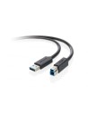 BELKIN cable USB A, USB B, 1,8 m Negro