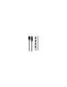 Belkin HUB de interfaz USB 3.2 Gen 1 (3.1 Gen 1) Micro-B 5000 Mbit/s Plata