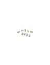 AISENS A138-0293 10 piezas Conector RJ-45 acero inoxidable transparente