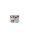 Equip 332716 divisor de video HDMI 2x HDMI