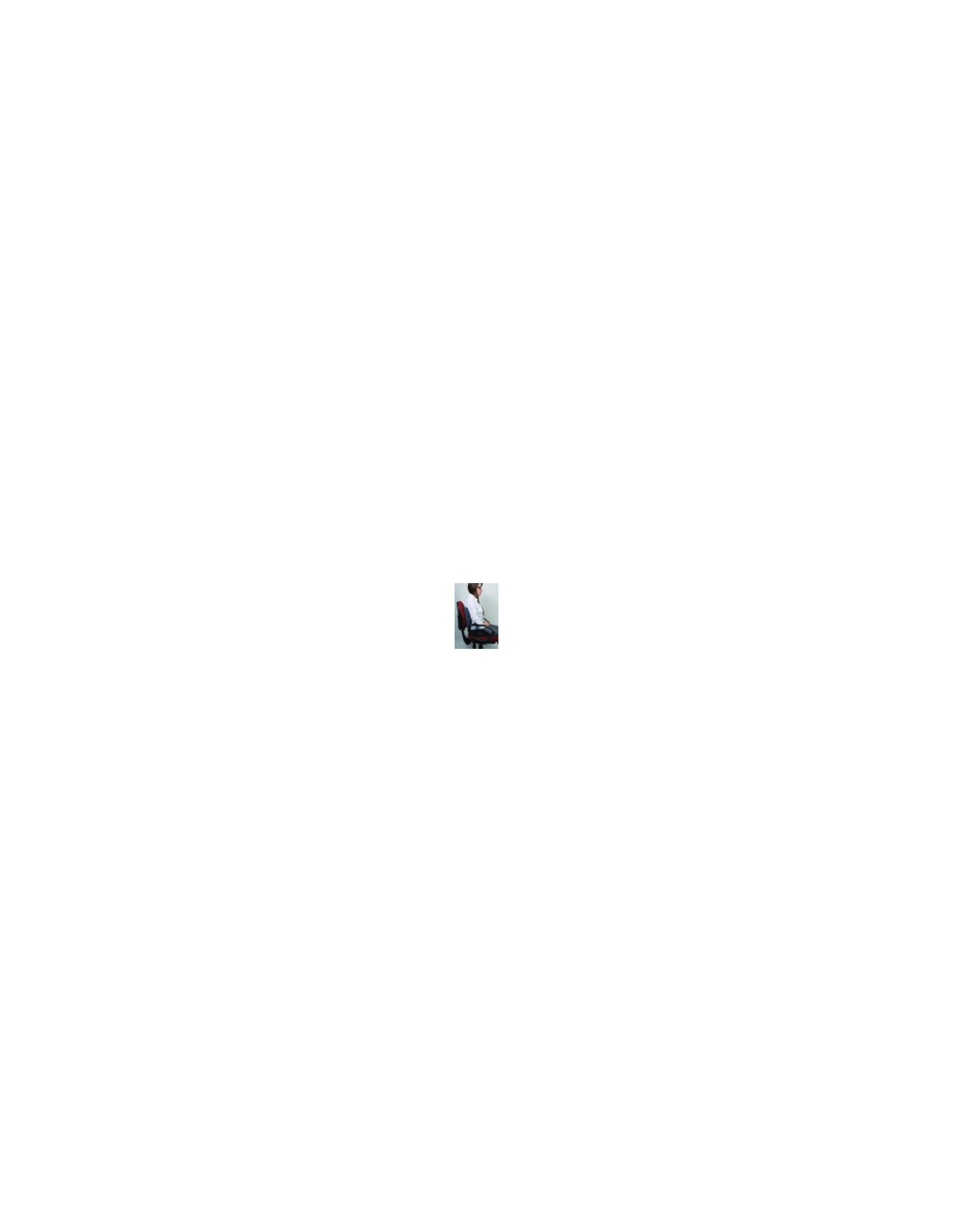 Fellowes 9190901 Respaldo lumbar smart suite gris