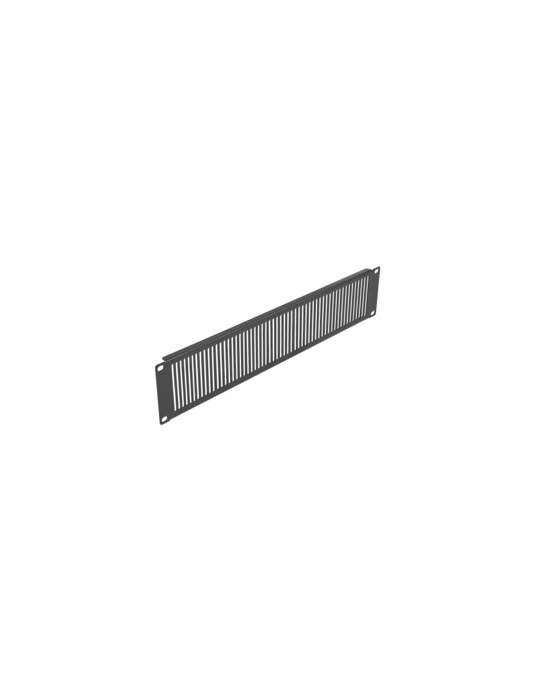 DeLOCK 66671 accesorio de bastidor Panel ciego de relleno para rack con ventilación y bisagras (2U)