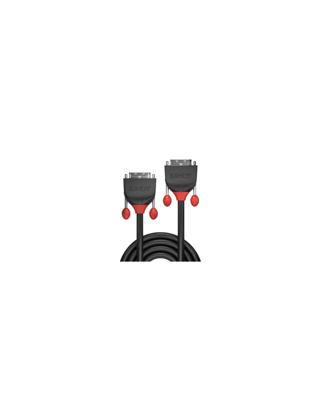Lindy 36256 cable DVI 2 m DVI-D Negro