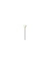 AISENS Cable de Red RJ45 Cat.6 UTP Rigido AWG23 CCA (aleacion), Gris, 100 m