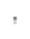 Gembird CCBP-HDMI-AOC-50M-02 cable HDMI HDMI tipo A (Estándar) Negro