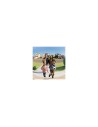 Eufy Video Doorbell 1080p Negro, Blanco