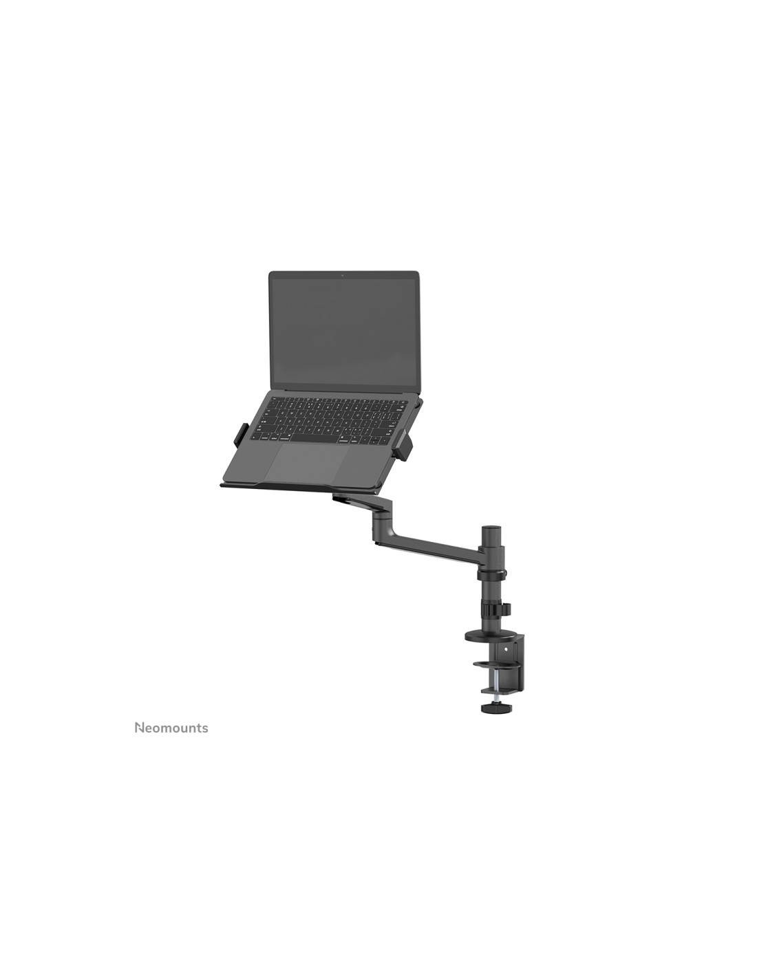 Neomounts soporte de escritorio para portátil