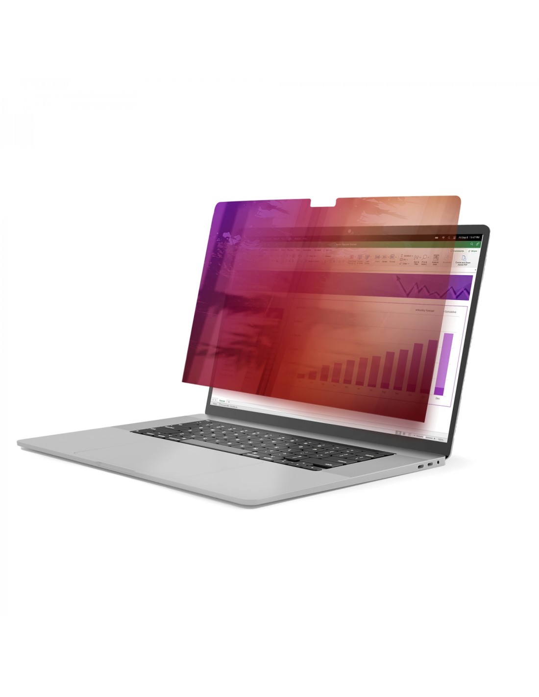 StarTech.com 142MG-PRIVACY-SCREEN filtro para monitor Filtro de privacidad para pantallas sin marco 35,6 cm (14")