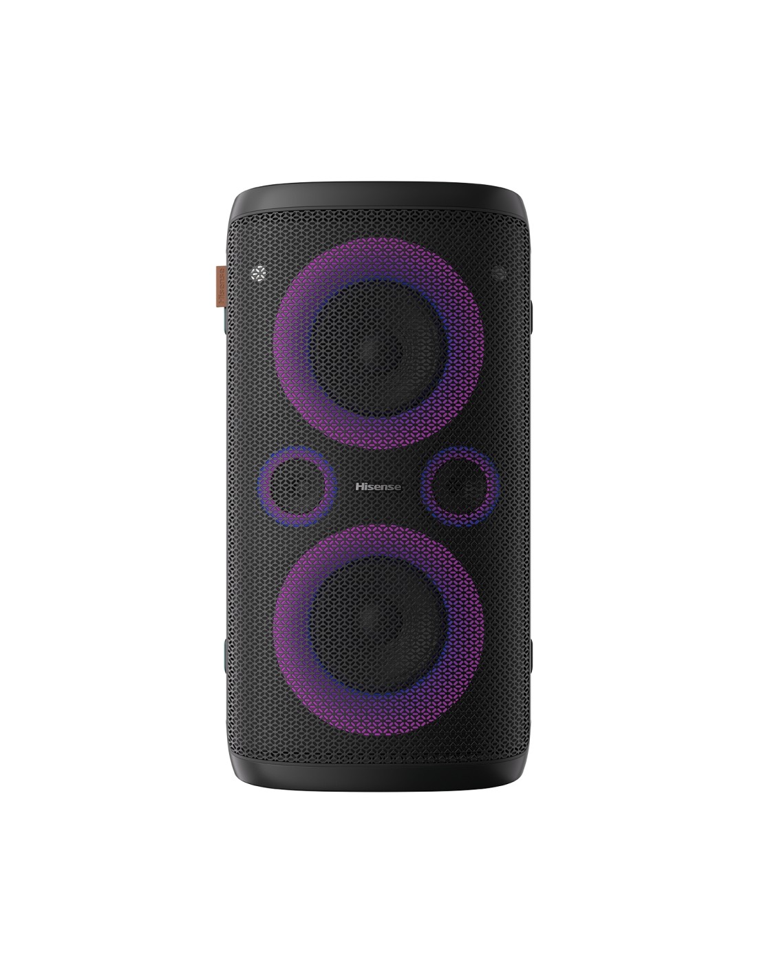 Hisense HP110 portable/party speaker Negro 300 W