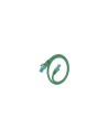 AISENS Cable De Red Latiguillo RJ45 Cat.6 UTP AWG26 CCA, Verde, 30 cm