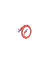 AISENS Cable De Red Latiguillo RJ45 Cat.6 UTP AWG26 CCA, Rojo, 0.75 m