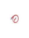 AISENS Cable De Red Latiguillo RJ45 Cat.6 UTP AWG26 CCA, Rojo, 30 cm