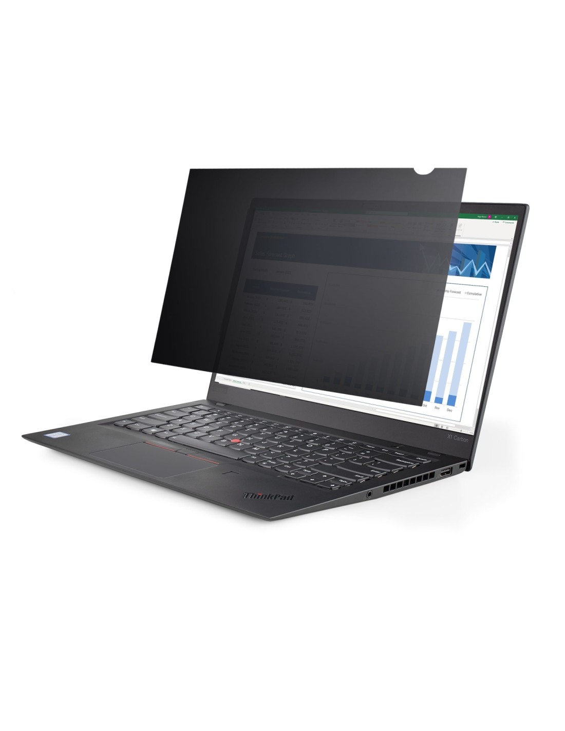 StarTech.com Filtro de Privacidad de 17,3 Pulgadas 16:9 para Portátil - Pantalla de Privacidad Protector Anti Brillo para Portát