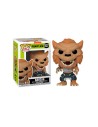 Funko pop series animacion nickelodeon las tortugas ninja mutantes rahzar 56163