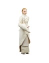 Star Wars The Black Series F55305X0 toy figure
