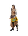 Star Wars The Black Series F55285X0 toy figure