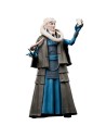 Star Wars The Black Series Bib Fortuna
