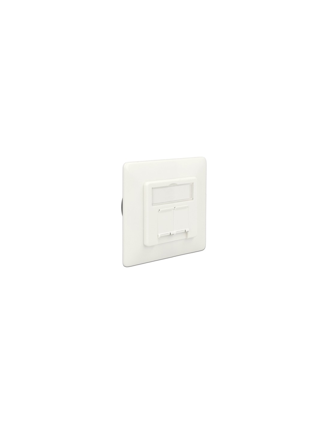DeLOCK 86195 toma de corriente RJ-45 Blanco