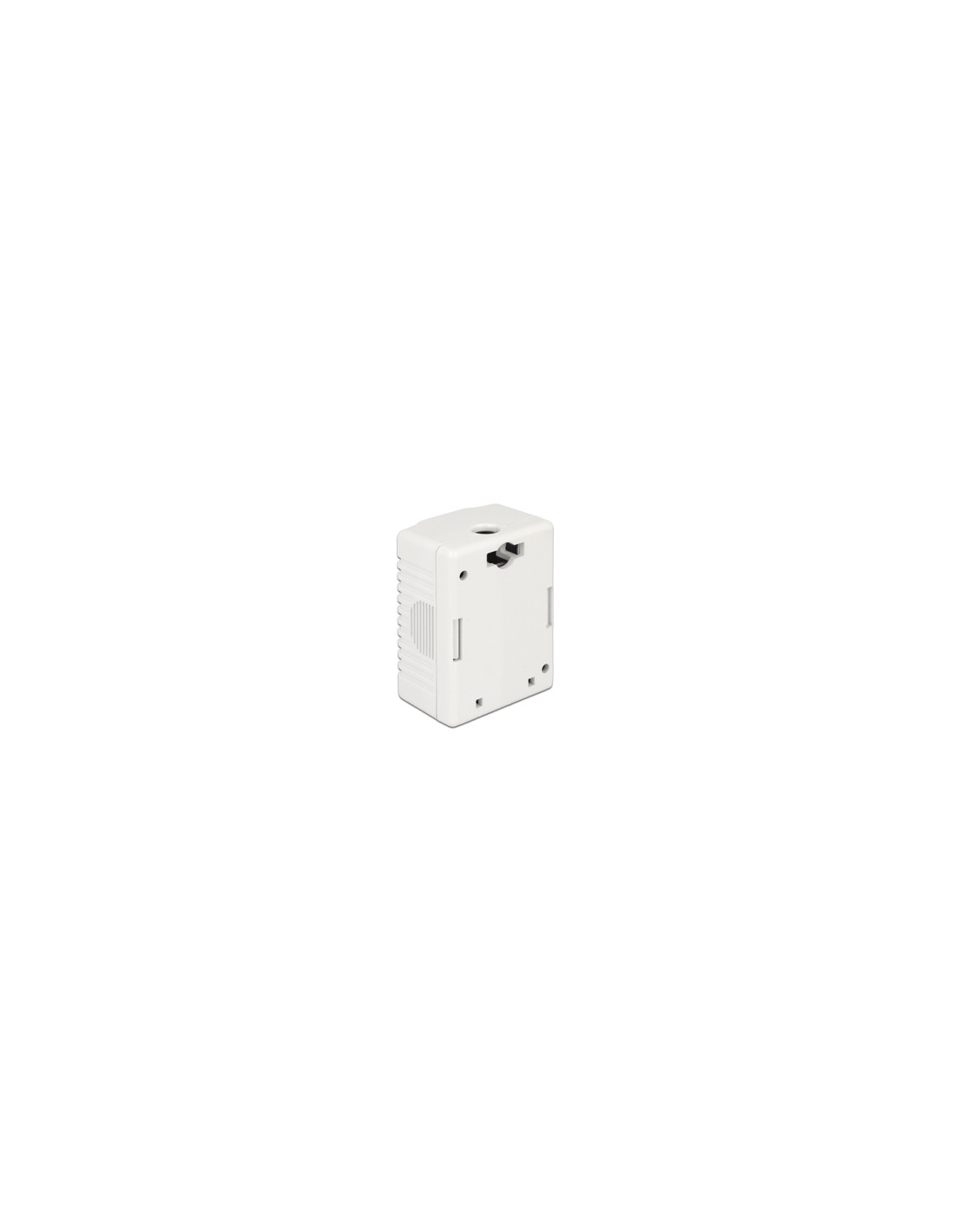 DeLOCK 86196 toma de corriente RJ-45 Blanco