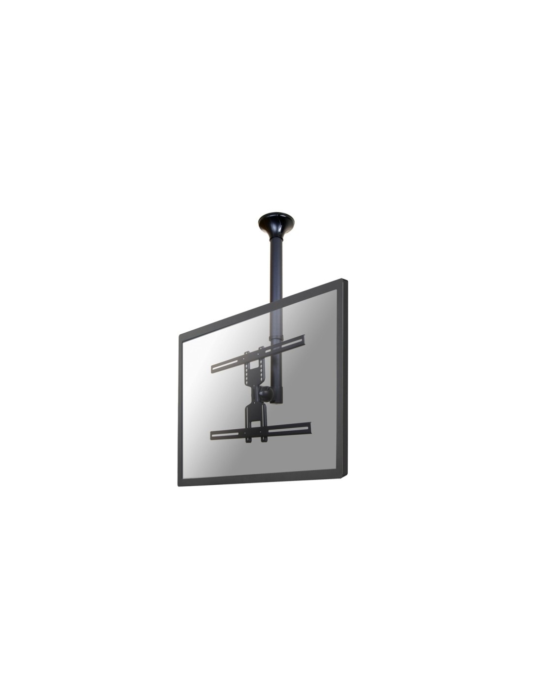 Neomounts by Newstar Soporte de techo para TV