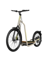 Bicinete Urban