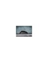 RATON CORSAIR HARPOON RGB PRO 12000DPI OPTICAL NEGRO GAMING CH-9301111-EU