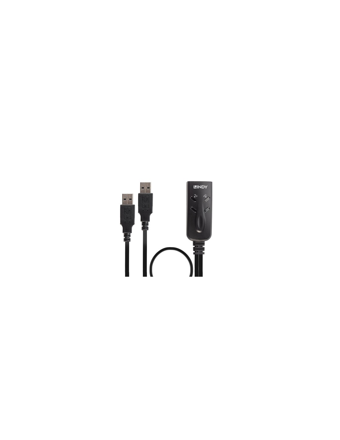 Lindy 32165 interruptor KVM Negro
