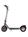 Bongo D40 XL