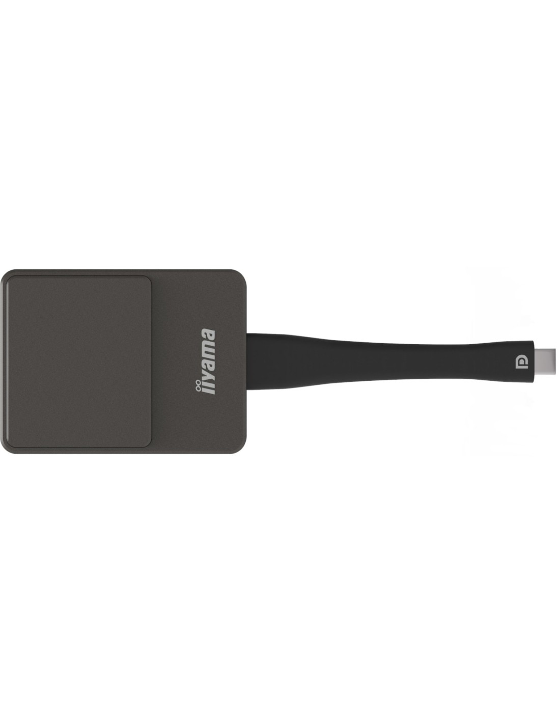 iiyama WP D002C adaptador Smart TV USB 4K Ultra HD Negro, Plata