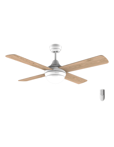 Ventilador de techo EnergySilence Aero 4250 DC Fresh