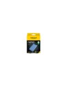 Intenso 7332035 batería externa Polímero de litio 10000 mAh Azul