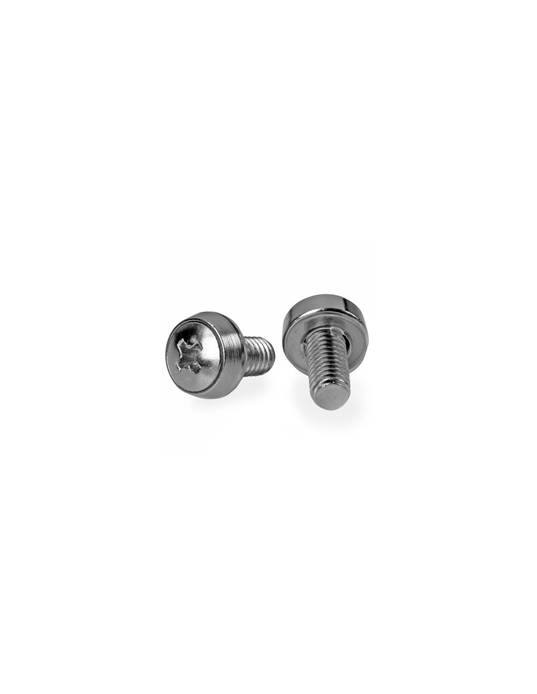 StarTech.com Paquete de 100 Tornillos de Montaje M6x12mm acero inoxidable