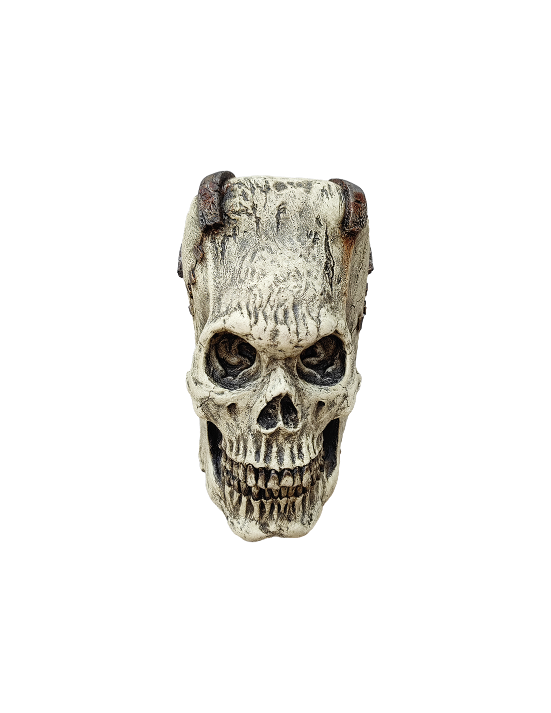 ArtÃ­culo decorativo Calavera Frankie 19,8 cm