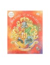 Caja Sorpresa Premium - 24 Regalos Oficiales Harry Potter Hogwarts