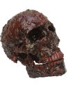 ArtÃ­culo decorativo Calavera cubierta de costras de sangre 13 cm